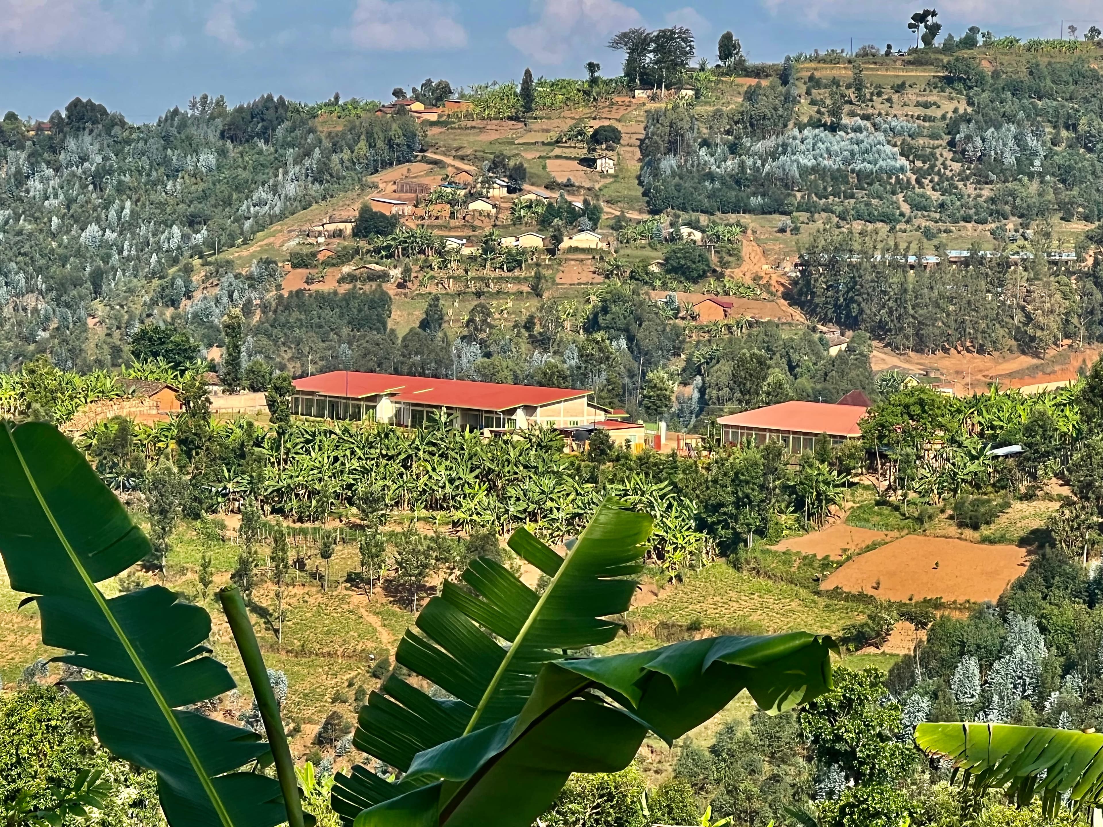 Centre Building Photo